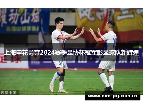 上海申花勇夺2024赛季足协杯冠军彰显球队新辉煌