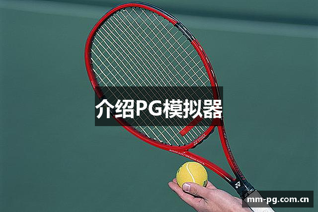 介绍PG模拟器